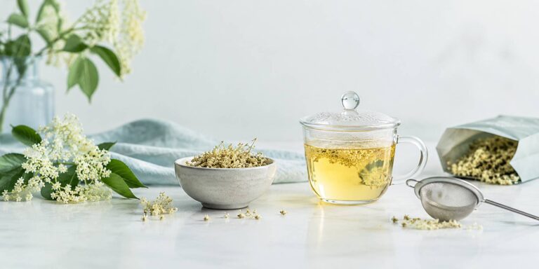 Sambuco: fiore secco, perché si infonde a recipiente coperto