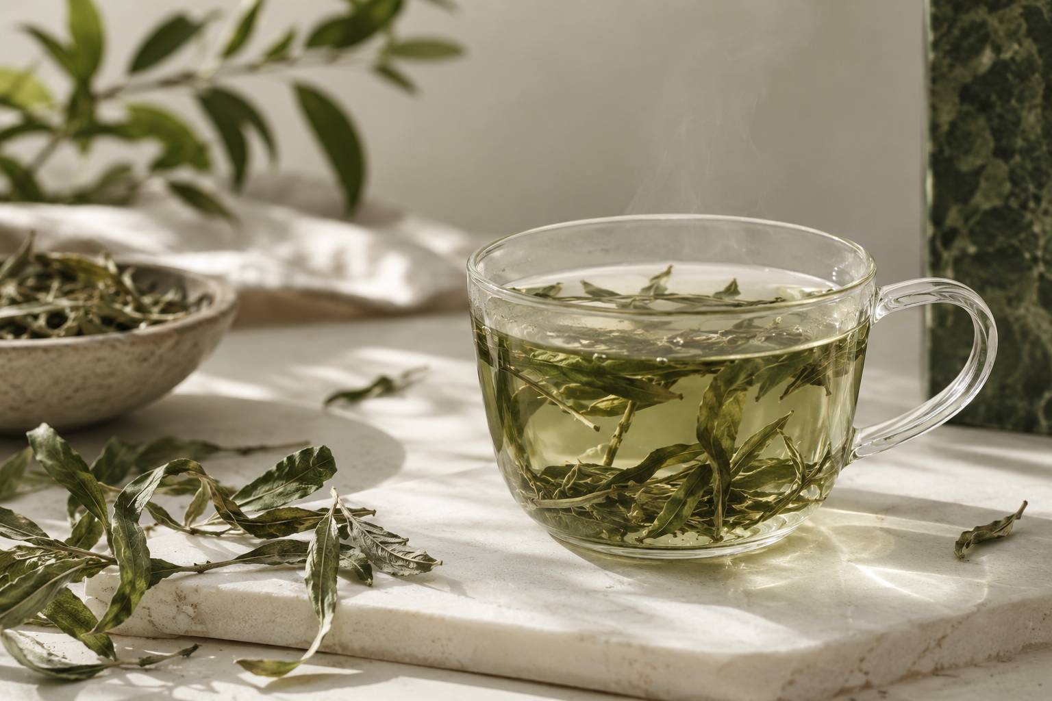 Feuilles de verveine odorante dans une tasse en verre et vapeur legere